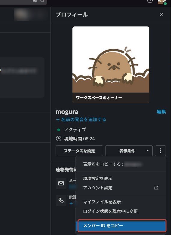 Slack個人のユーザーIDを確認する場所